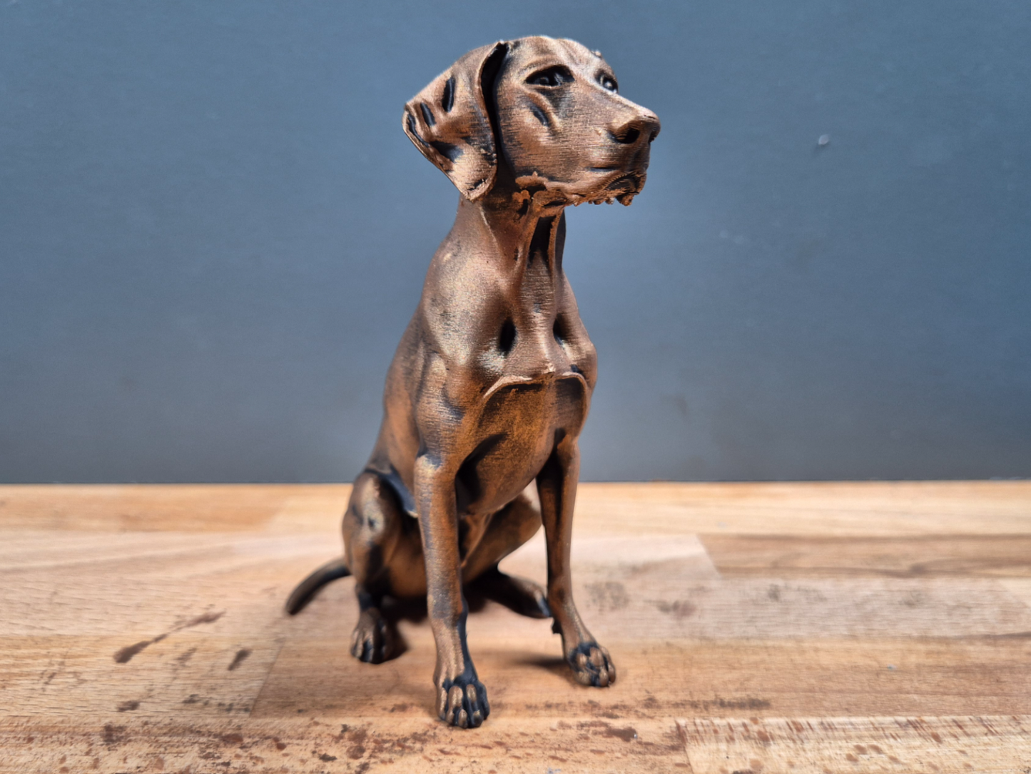 Korthåret Hønsehund - Hundefigur