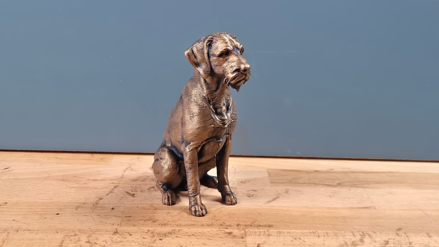 Ruhåret Hønsehund - Hundefigur