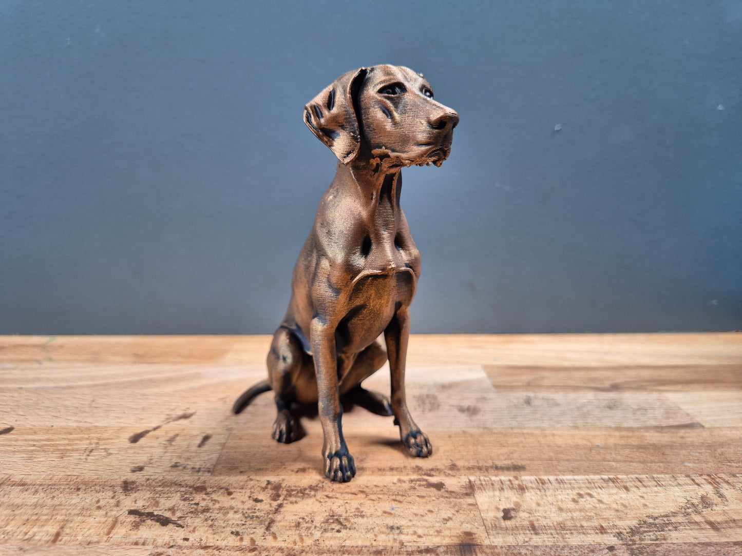 Korthåret Hønsehund - Hundefigur