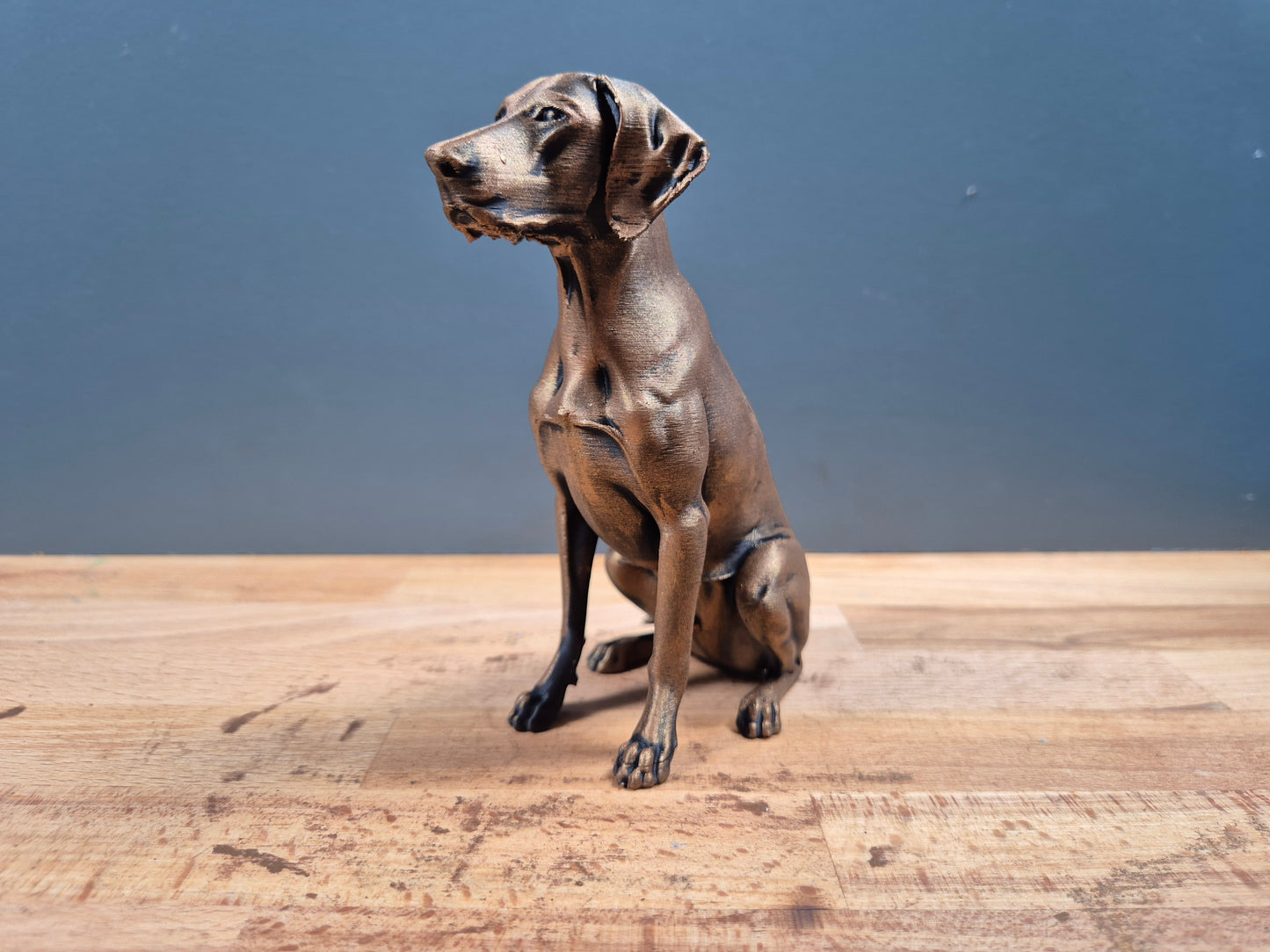 Korthåret Hønsehund - Hundefigur