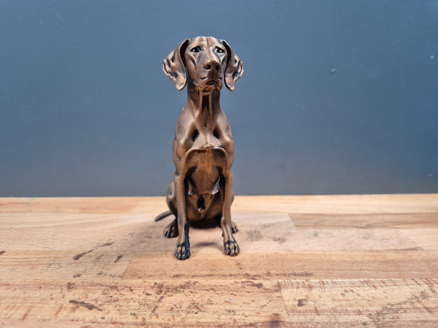 Korthåret Hønsehund - Hundefigur