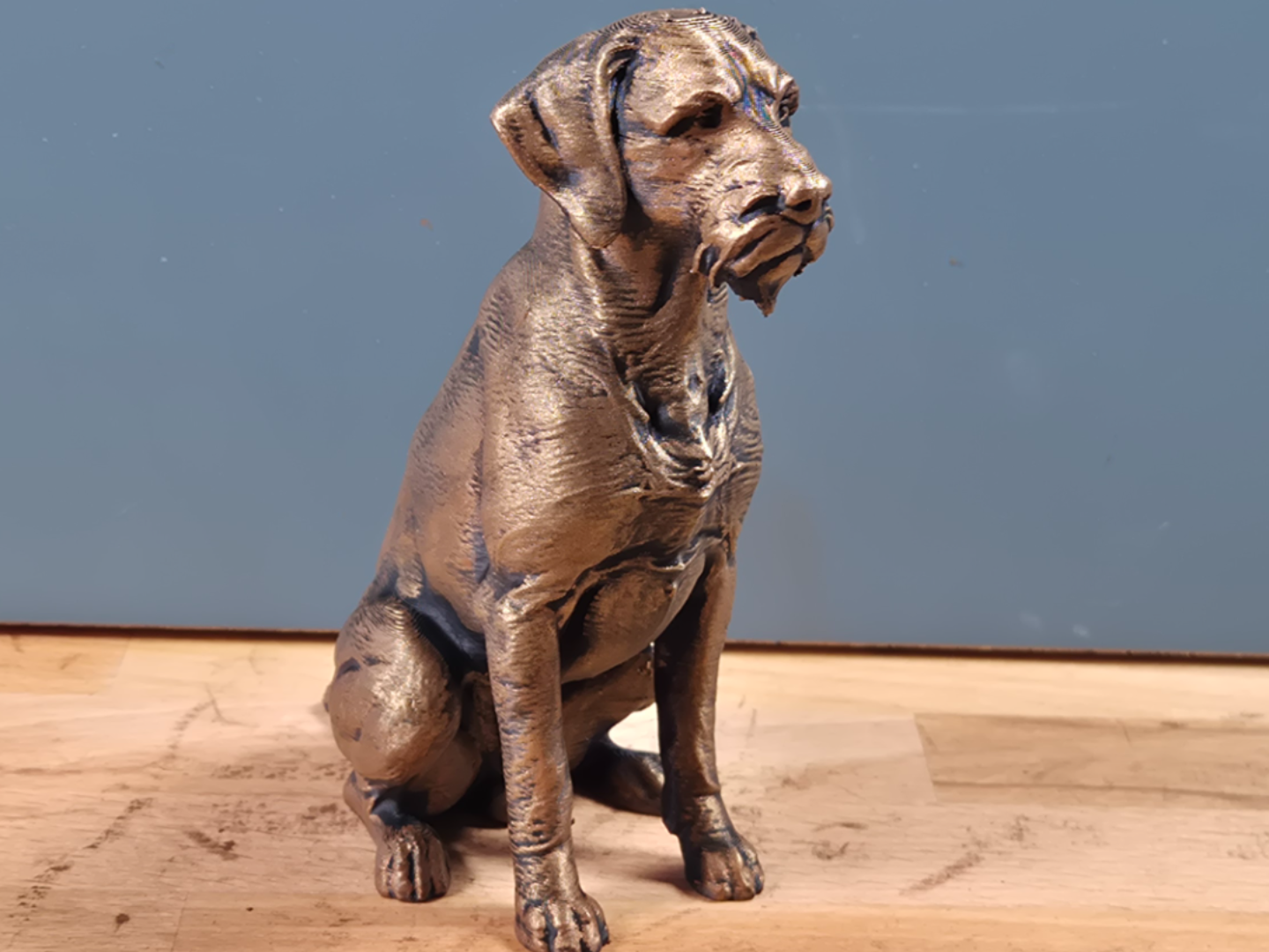 Ruhåret Hønsehund - Hundefigur