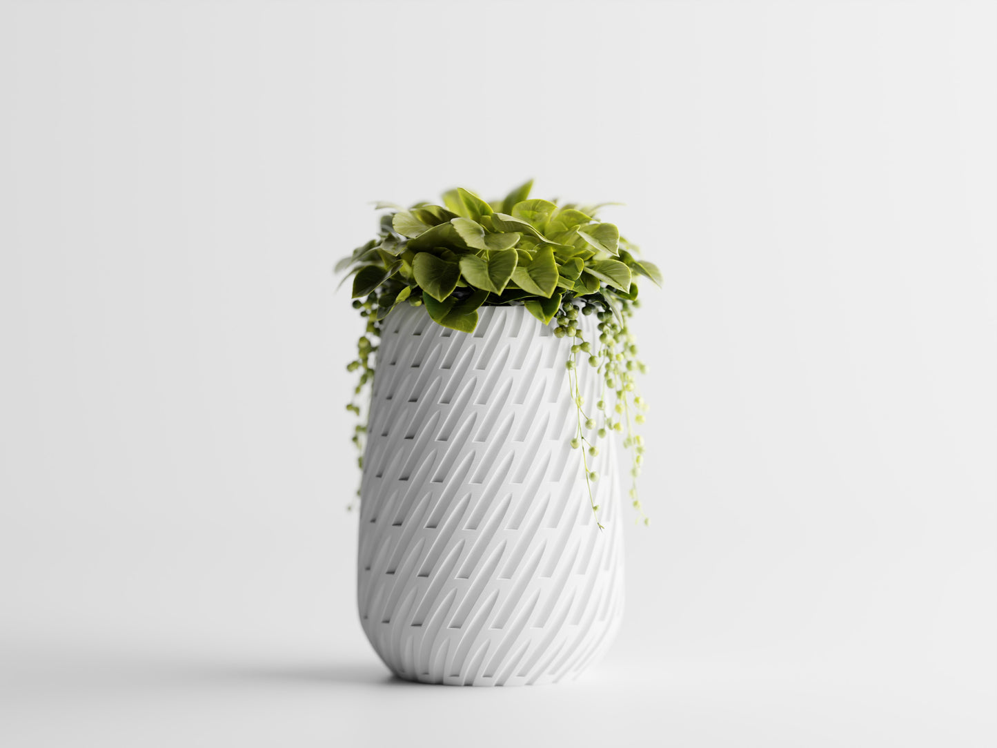 Lioren Vase