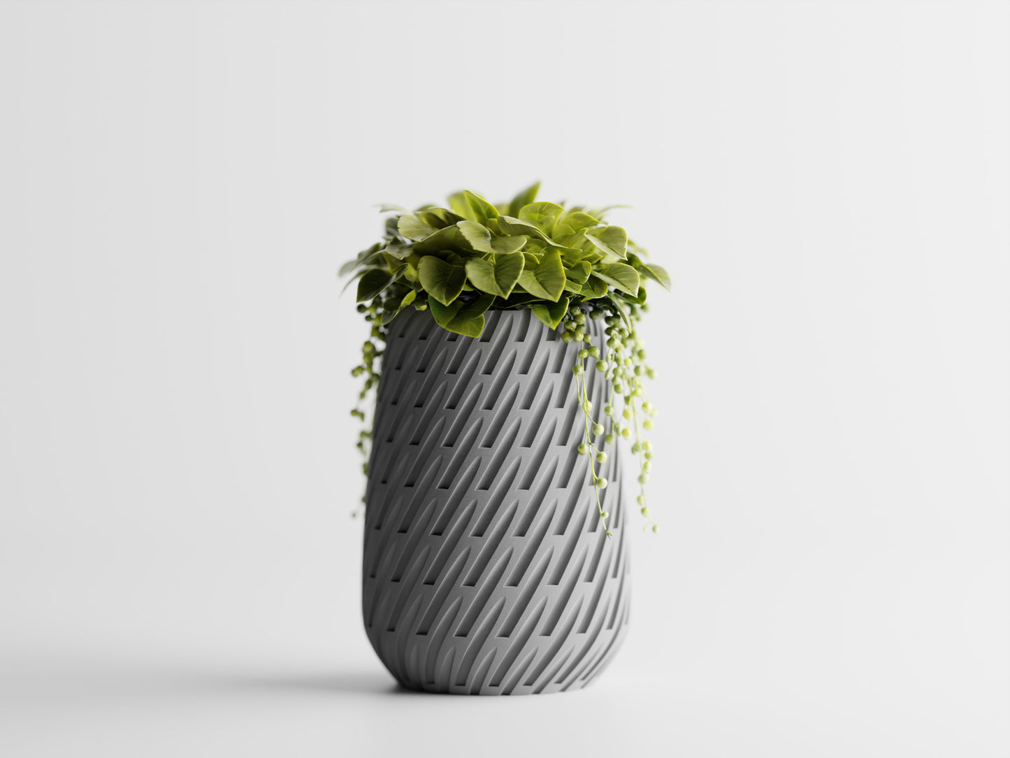 Lioren Vase