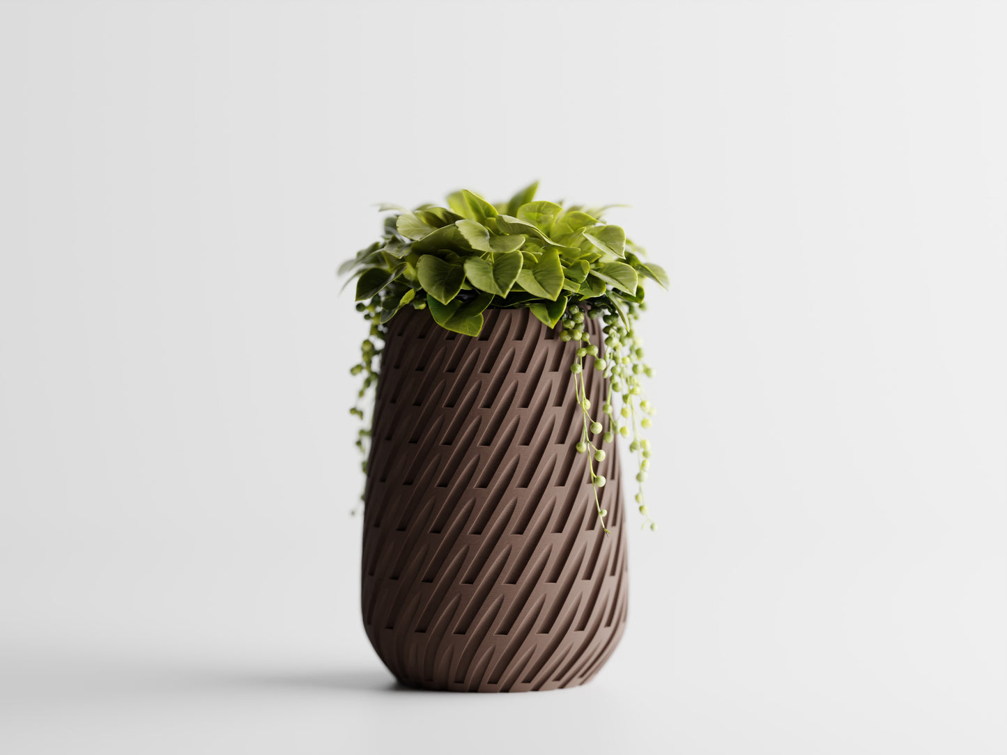 Lioren Vase