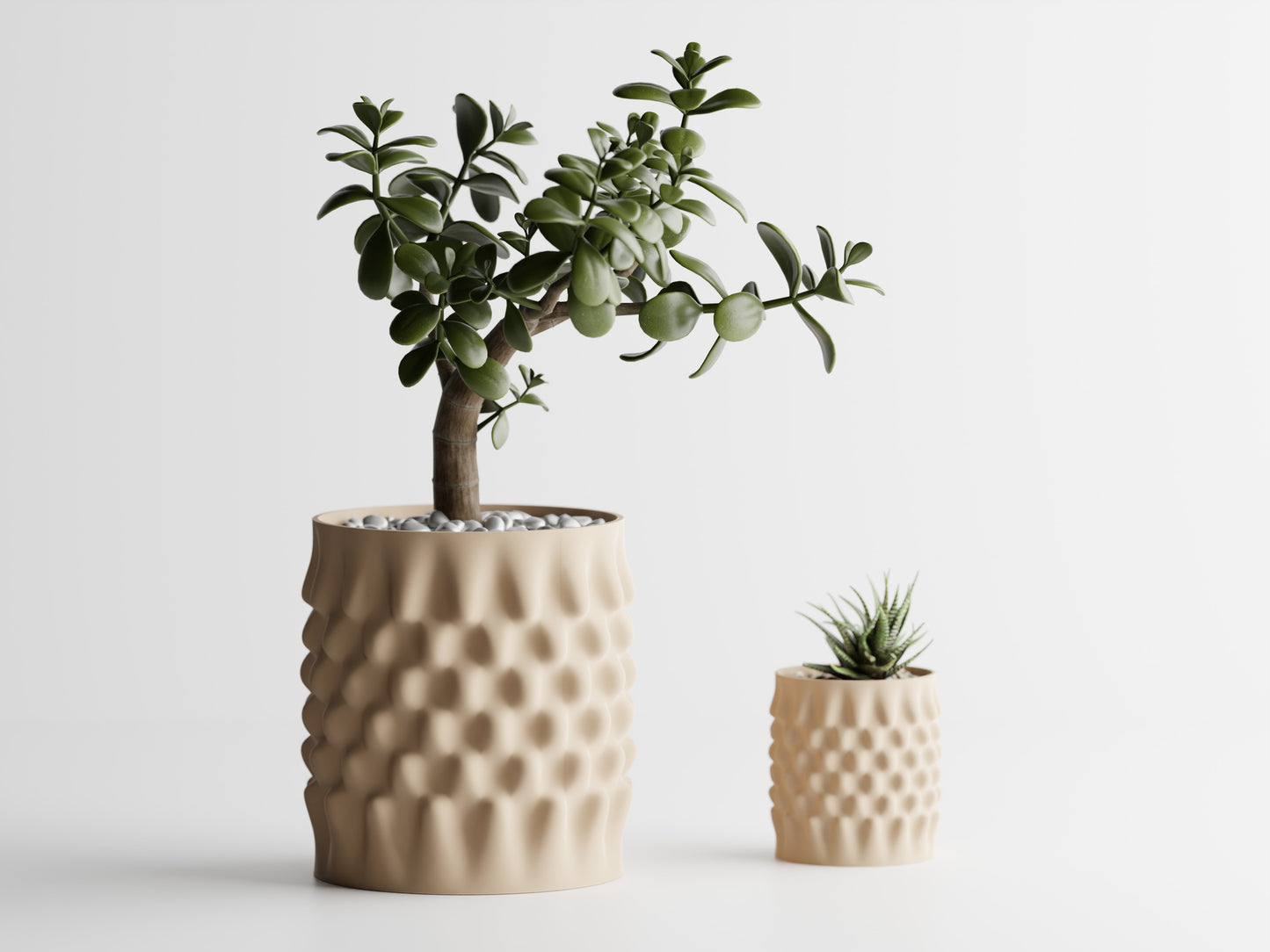 Dent Curved Urtepotte