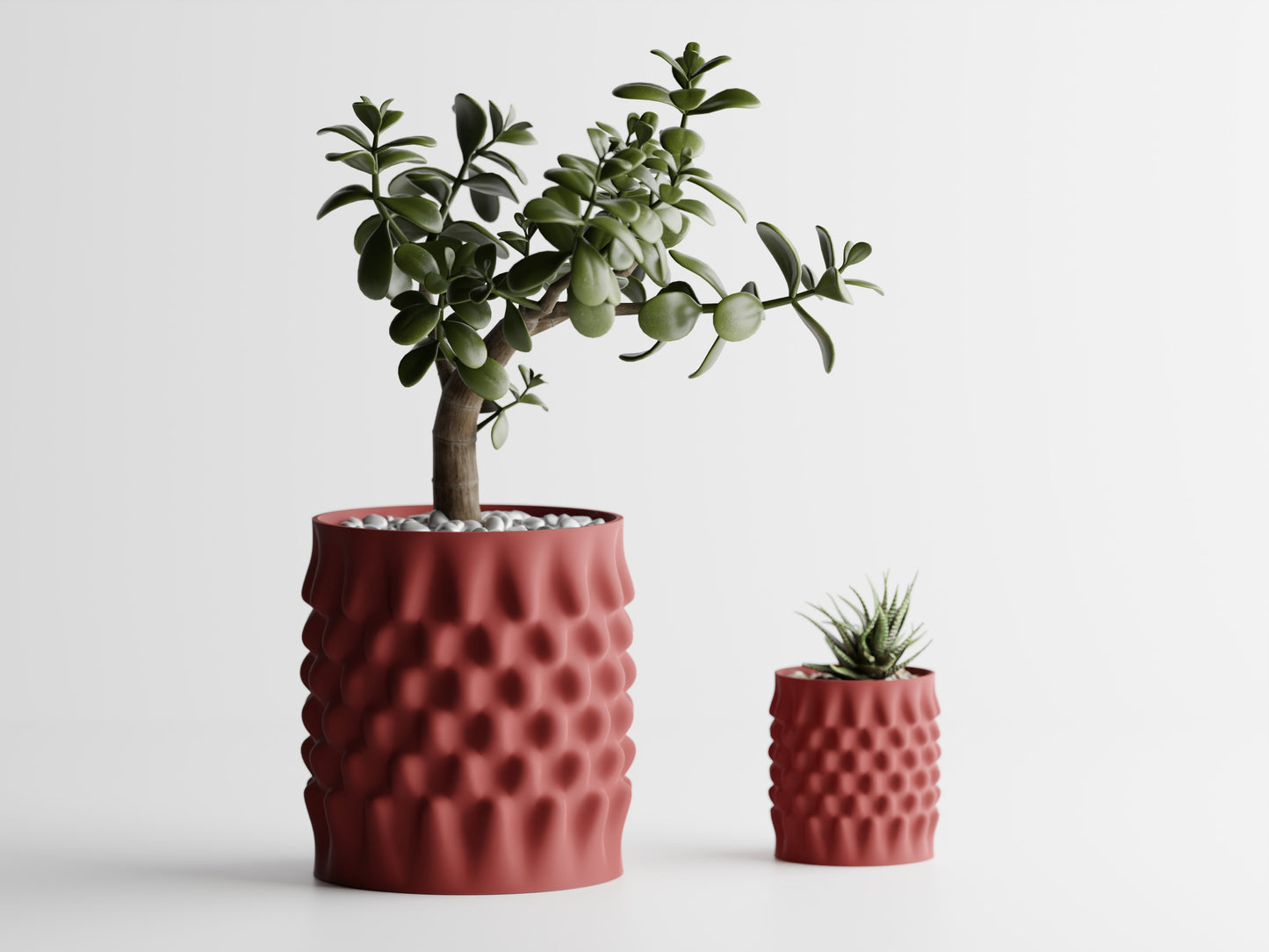 Dent Curved Urtepotte